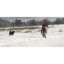 Scythe Stratèges des Cieux Version Française