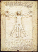 Eurographic 1000P The Vitruvian Man
