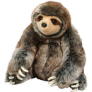 Douglas - Sylvie Sloth
