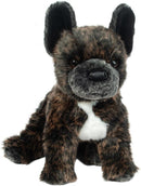 Douglas Billie French Bull Dog