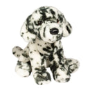 Douglas Mackay Dalmatien