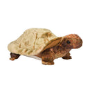 Douglas Speedy Tortue