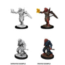 D&D Nolzurs Marvelous Upainted Miniatures: Wave 11: Male Dragonborn Paladin