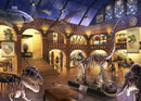 Puzzle Ravensburger 368 Escape Mystère au Musée