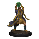 D&D Nolzurs Marvelous Upainted Miniatures: Wave 11: Male Elf Sorcerer