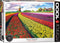 Eurographics 1000p Champs de tulipes - Pays-Bas