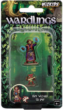 Painted Figures Girl Wizard and Imp