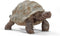 Figurine Schleich - Giant Tortoise