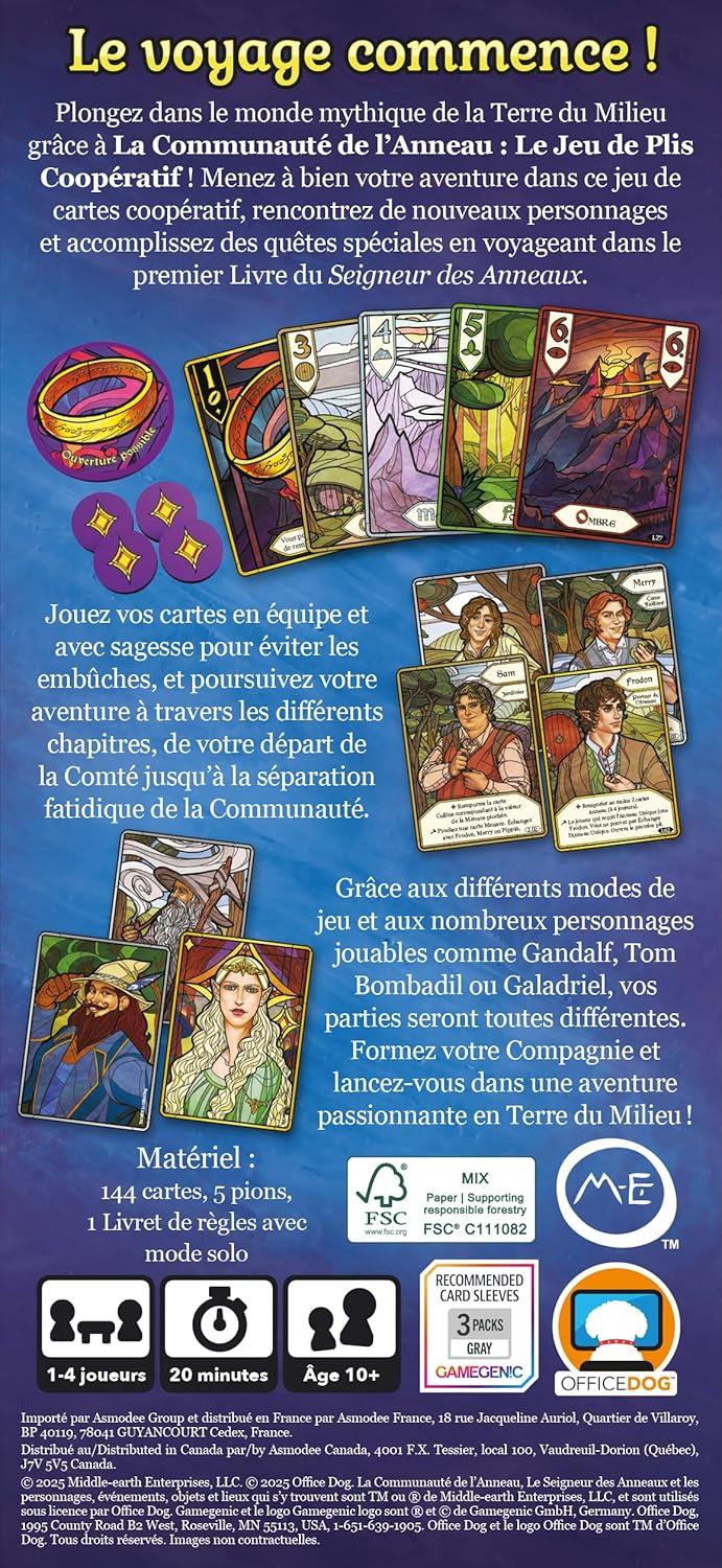 La Communauté de l'anneau : le Jeu de Plis Coopératif Version Française