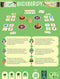 Bidibirdy Version Multilingue