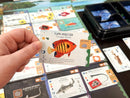 Finspan: Sharks & Reefs Version Anglaise