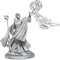 D&D Frameworks Elf Wizard Female