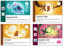 Casting Shadows: Ice Storm Expansion Version Anglaise