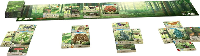 Forest Shuffle Version Anglaise