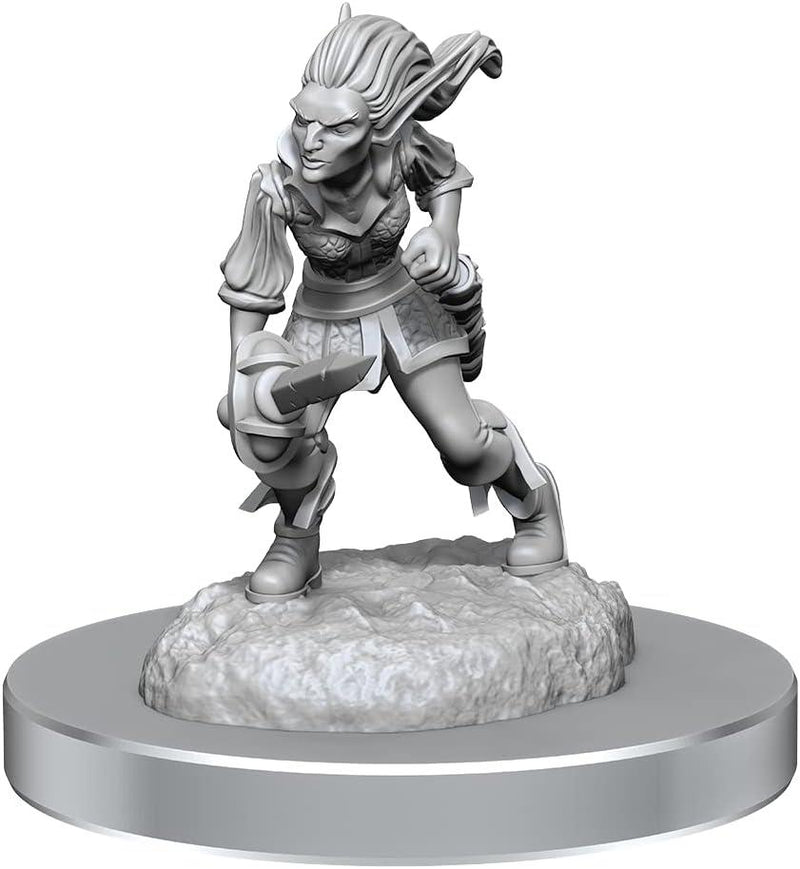 D&D Nolzur’s Marvelous Miniatures: Quicklings