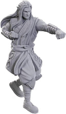 D&D Nolzur's Marvelous Miniatures: Archdruid & Martial Arts Adept