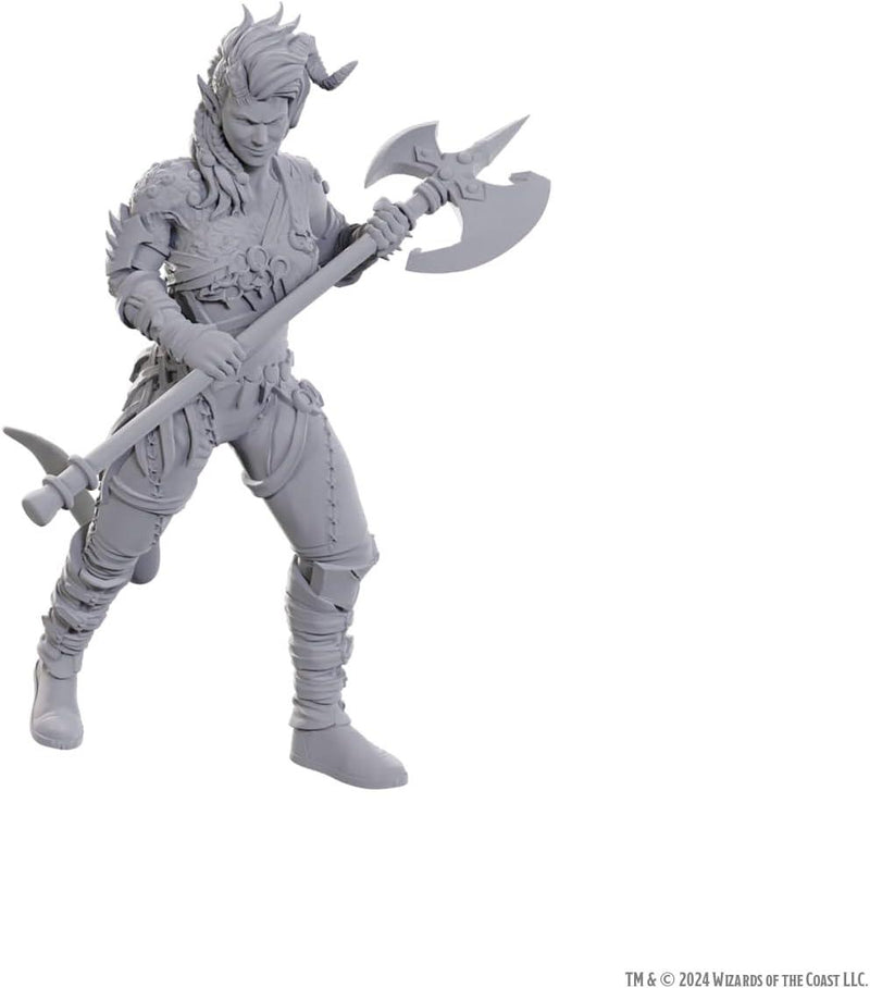 D&D Special Edition Baldur's Gate 3 Wyll & Karlach