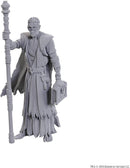 D&D Special Edition Baldur's Gate 3 Volo & Withers