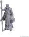 D&D Special Edition Baldur's Gate 3 Volo & Withers