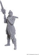 D&D Special Edition Baldur's Gate 3 Lae'zel & Shadowheart
