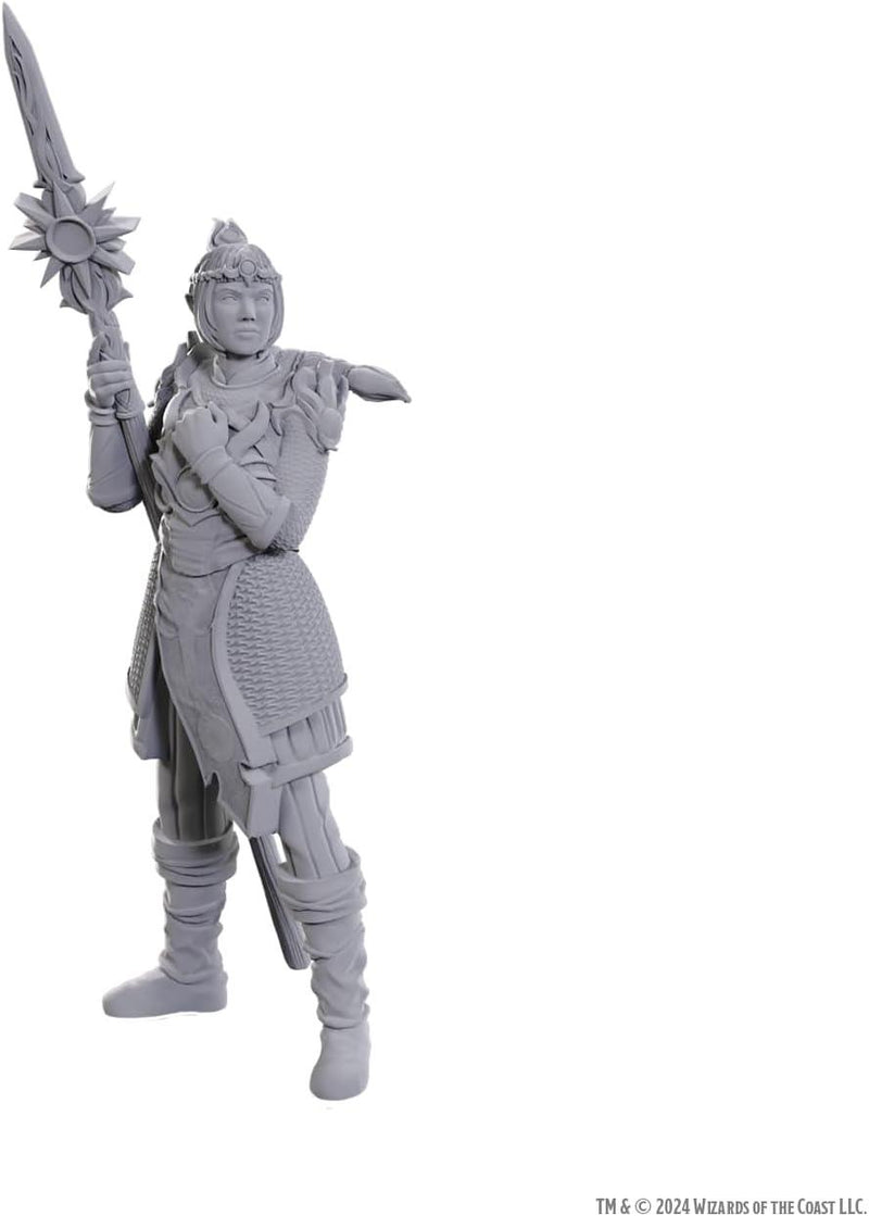 D&D Special Edition Baldur's Gate 3 Lae'zel & Shadowheart