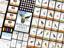 Wingspan Pocket Version Anglaise