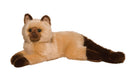 Douglas Sebastian Himalayan Cat