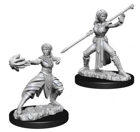 D&D Nolzurs Marvelous Unpainted Miniatures: Half Elf Female Monk