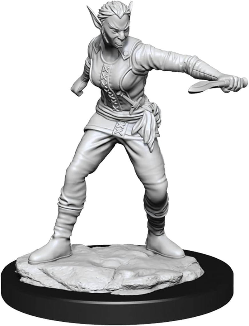 D&D Nolzurs Marvelous Unpainted Miniatures: Shifter Rogue Female