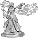 D&D Frameworks Elf Wizard Female