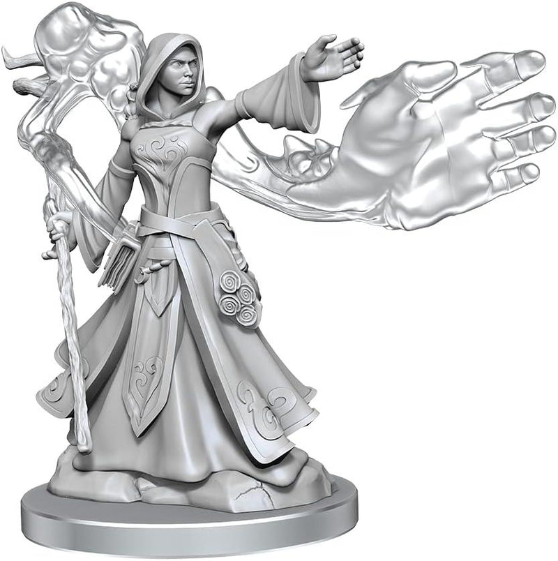 D&D Frameworks Elf Wizard Female