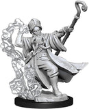 D&D Frameworks Human Wizard Male