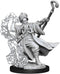 D&D Frameworks Human Wizard Male