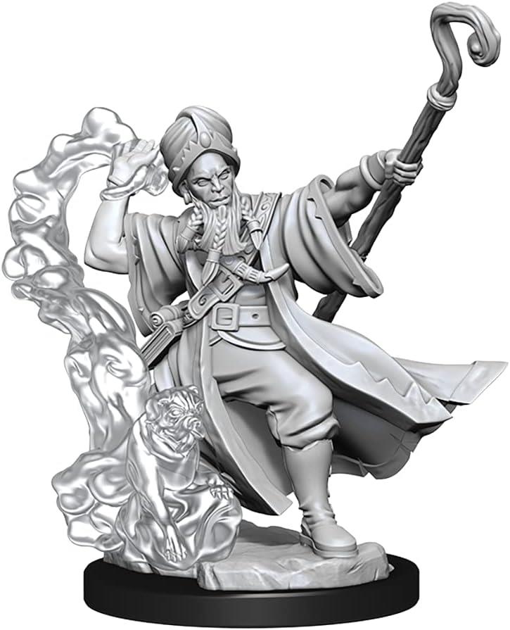 D&D Frameworks Human Wizard Male