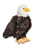 Douglas Adler Bald Eagle