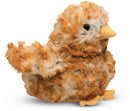 Douglas Brown Chick