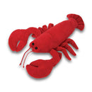 Douglas Lobster Snapper