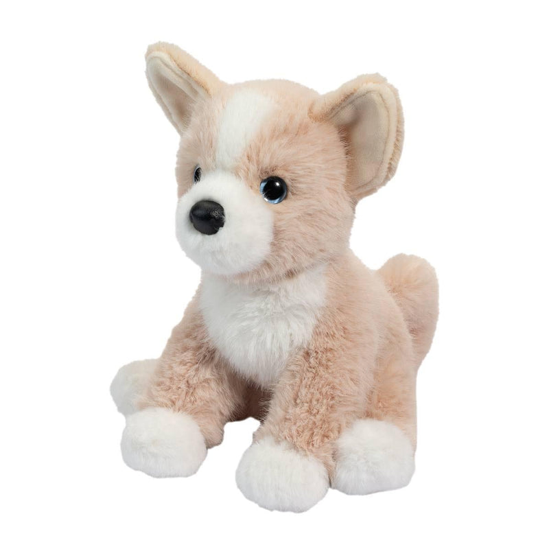 Douglas Pookie Pomsky Dog