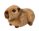 Douglas Chattie Capibara