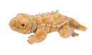 Douglas Boogie Soft Bearded Dragon