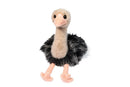 Douglas Omar Ostrich