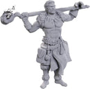 D&D Nolzur's Marvelous Miniatures: Archdruid & Martial Arts Adept