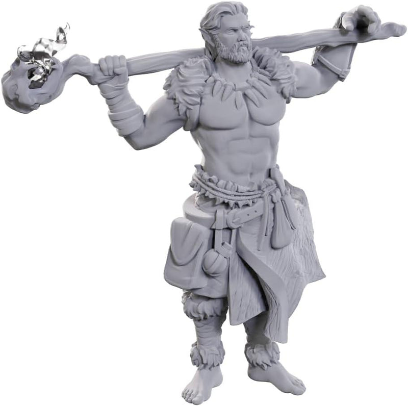 D&D Nolzur's Marvelous Miniatures: Archdruid & Martial Arts Adept