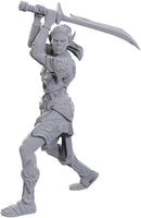 D&D Special Edition Baldur's Gate 3 Lae'zel & Shadowheart