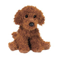 Douglas  Dog Poodle Ginger