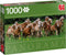 Jumbo Head Break 1000P Haflinger Panorama Horses