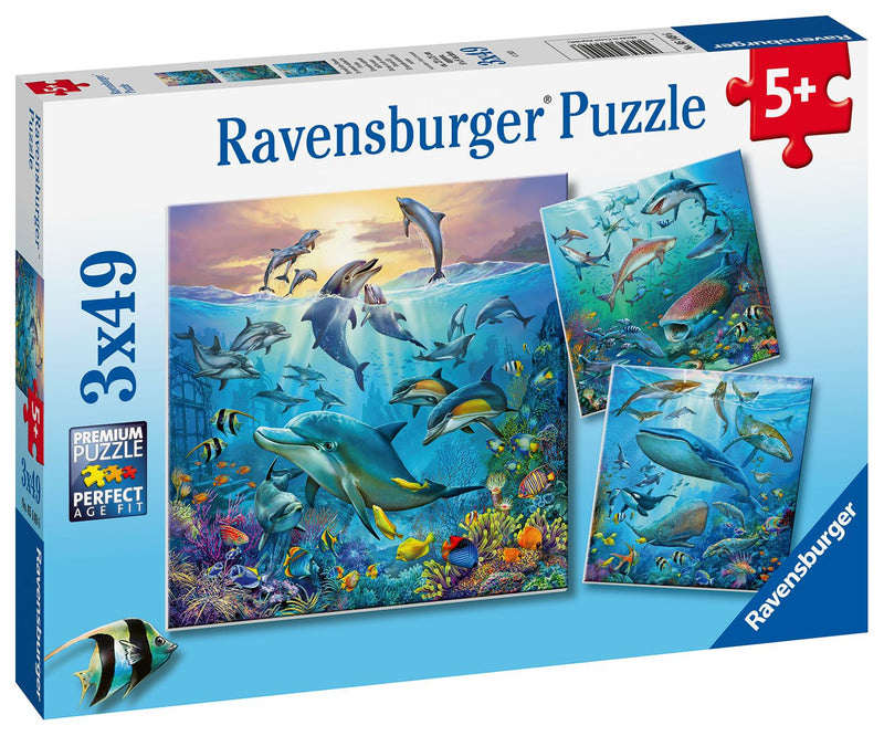 Puzzle Ravensburger 3x49P La Faune de L'Océan