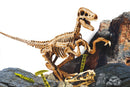 I'm a Genius - Super kit VelociraptorDécouvre le monde des dinosaures!