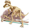 Laboratory: Unearths a skeleton of Tyrannosaurus Rex