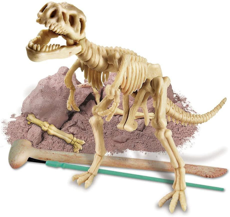Laboratoire: Déterre un squelette de Tyrannosaurus Rex (Français)